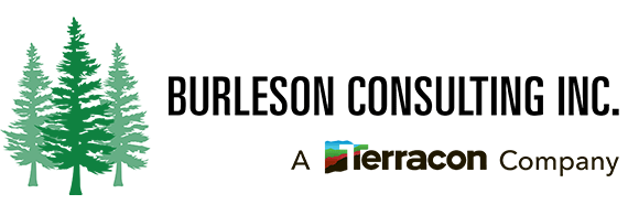 Burleson Consulting