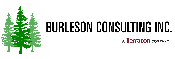 Burleson Consulting
